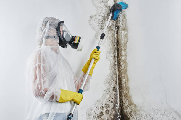 Best Flooded house restoration  in Cerritos, CA