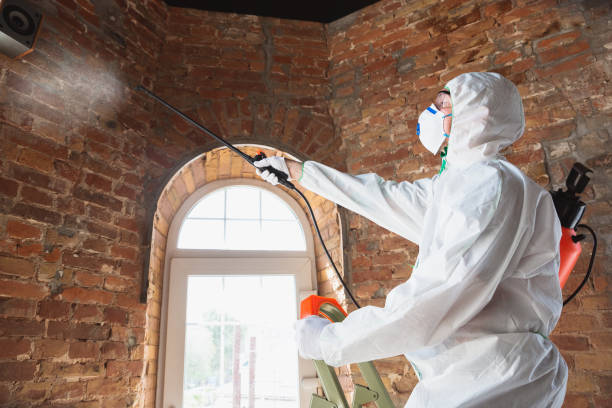 Best Basement water damage restoration  in Cerritos, CA