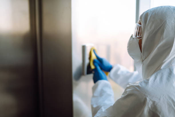 Best Water damage restoration experts  in Cerritos, CA